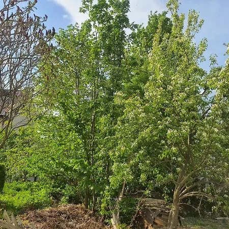 Carpe Diem Apartamento