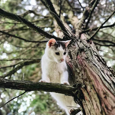 Appartement Carpe Diem *