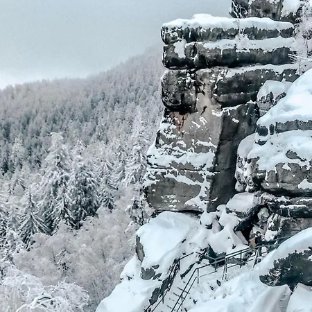 Apartment Carpe Diem Duszniki Zdroj