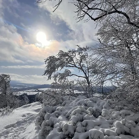 Carpe Diem Appartement