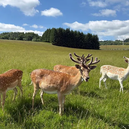 公寓 Carpe Diem Duszniki Zdrój