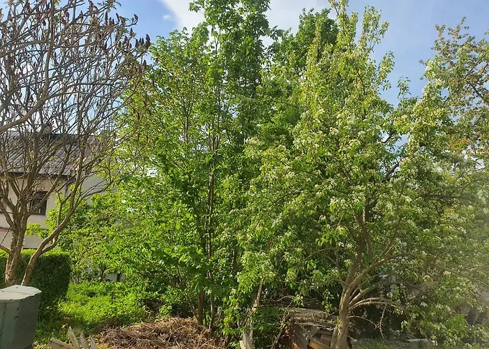 Carpe Diem Apartment